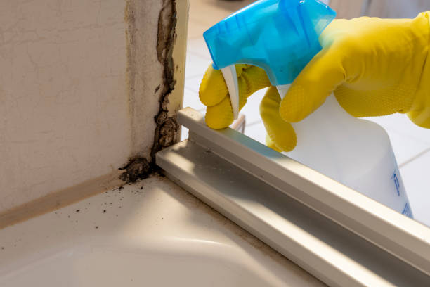 Best Emergency Mold Removal  in Reed Creek, GA