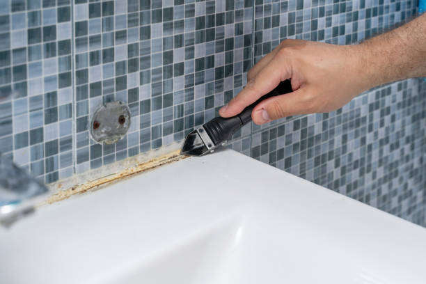 Best Affordable Mold Removal  in Reed Creek, GA
